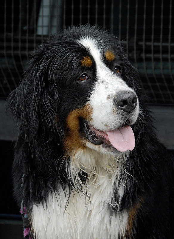 Anton_DDD2482_BildgrÃ¶ÃŸe Ã¤ndern.jpg